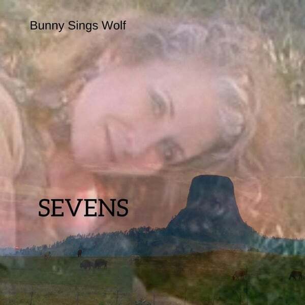 Cover art for Sevens